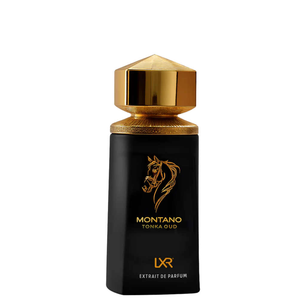 LXR Montano Tonka Oud Mens Perfume